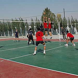 其它排球场 Volleyball court